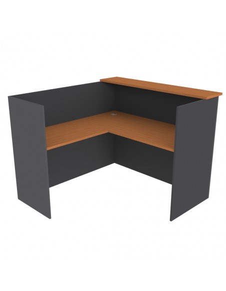 RECEPCION L  150x150x115H