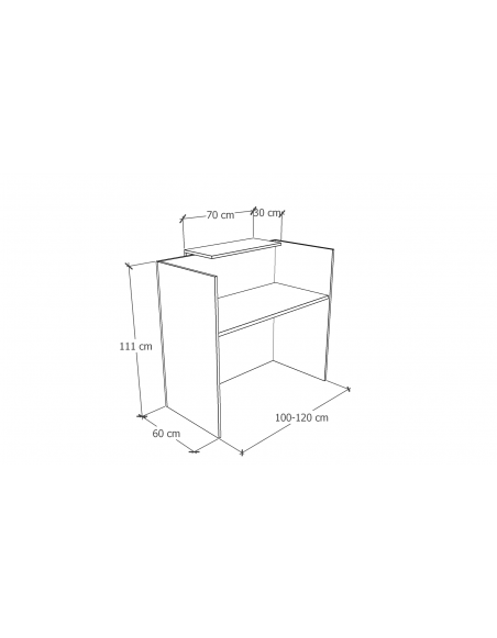 RECEPCION   100x60x115H