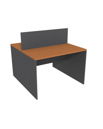 ESCRITORIO DUO   120